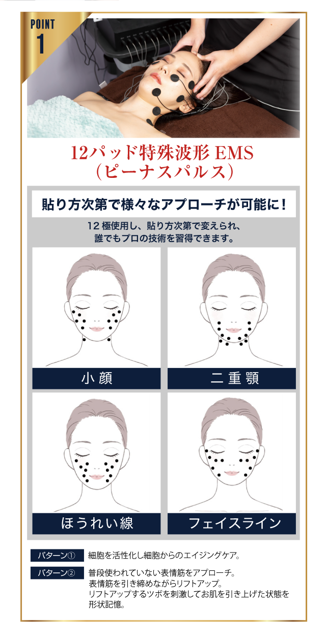 point1 12特殊波形EMS　ビーナスパルス